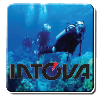 Intova