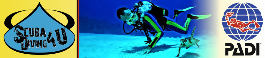 Scuba Diving 4 U